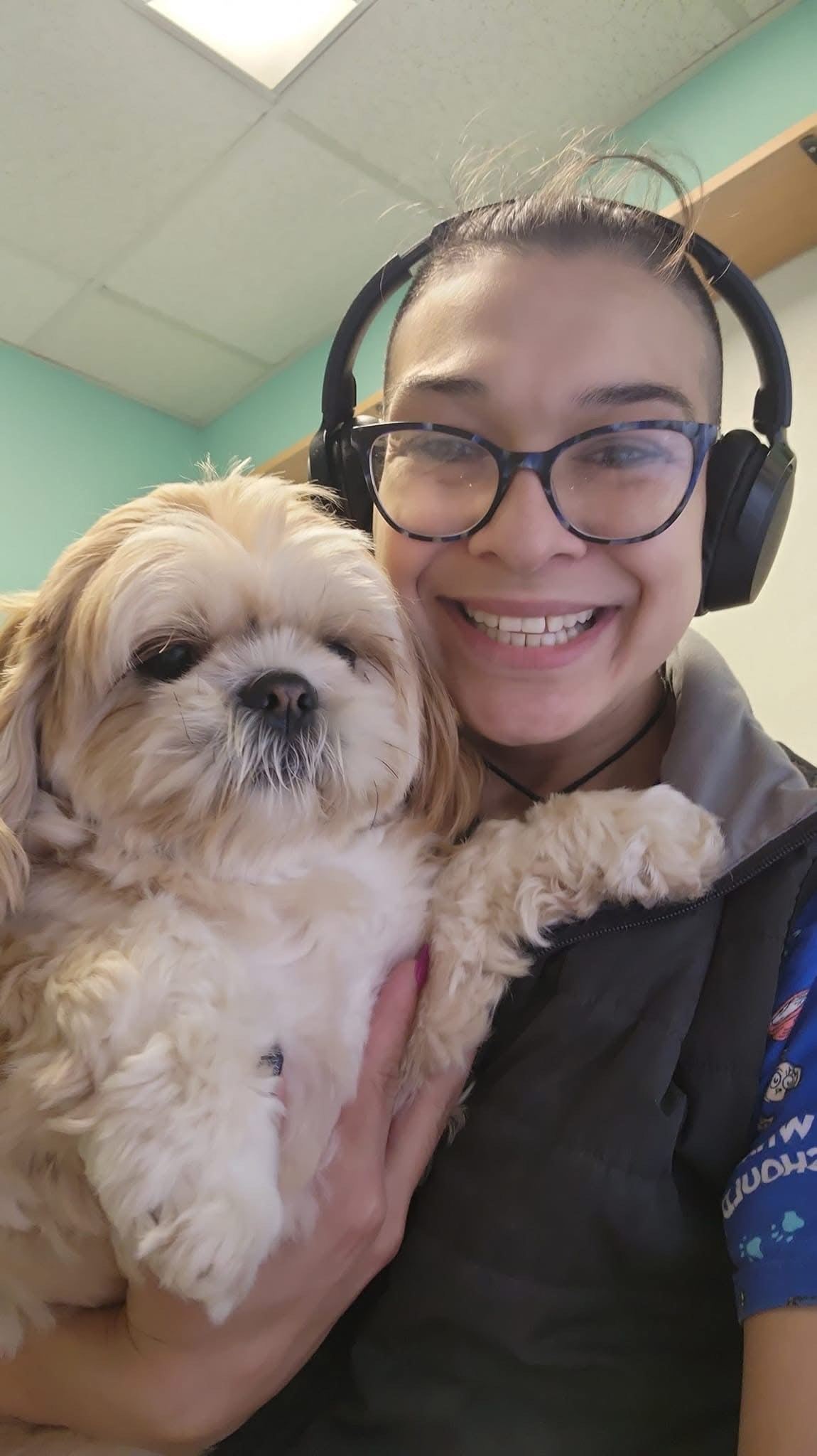 The Paww Spa grooming photo